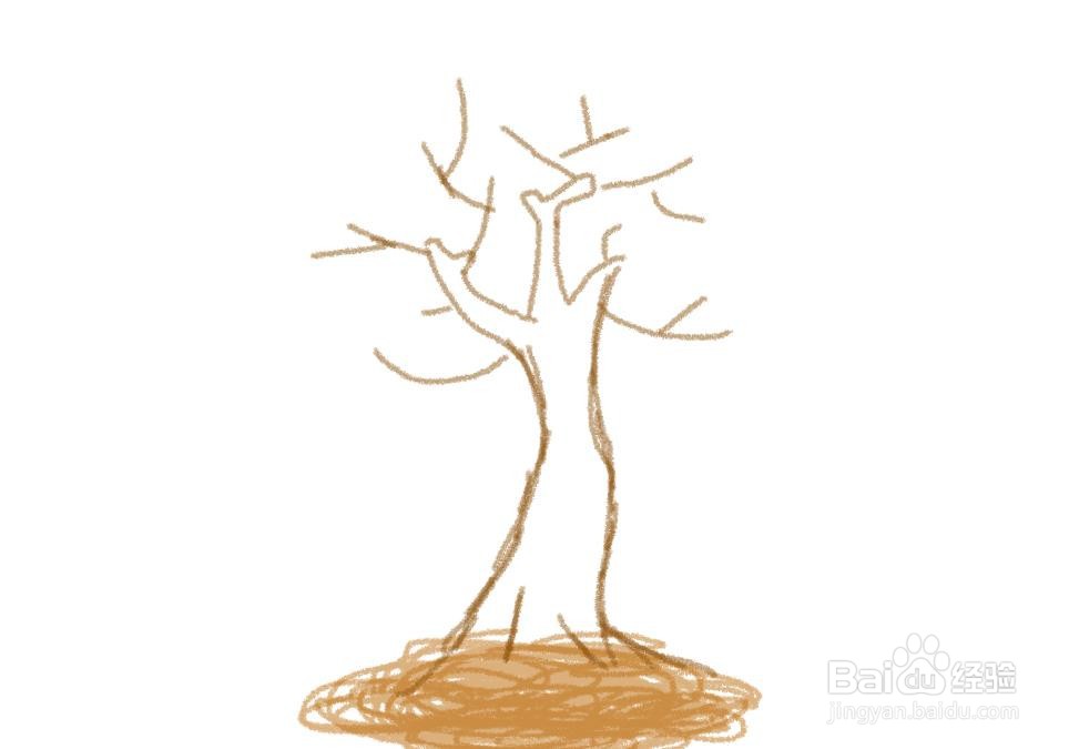 秋天枫树的简笔画