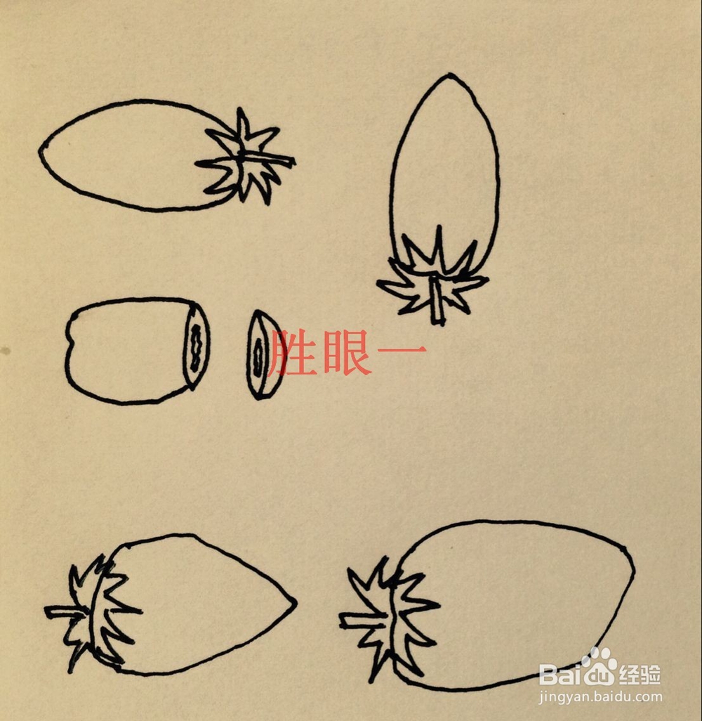 怎样画切开的小西红柿呢?