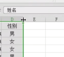 在Excel中怎样自动调整列宽呢