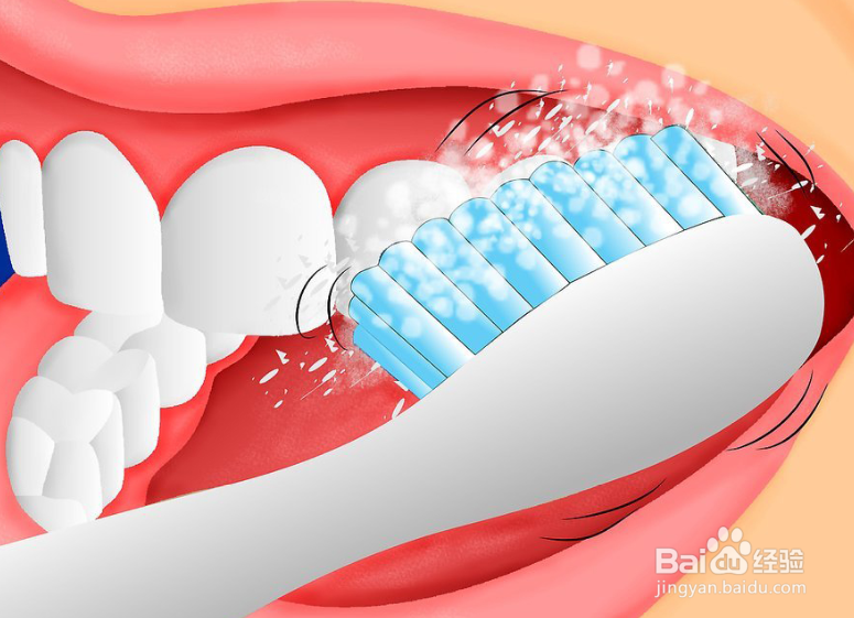 如何使用电动牙刷正确刷牙
