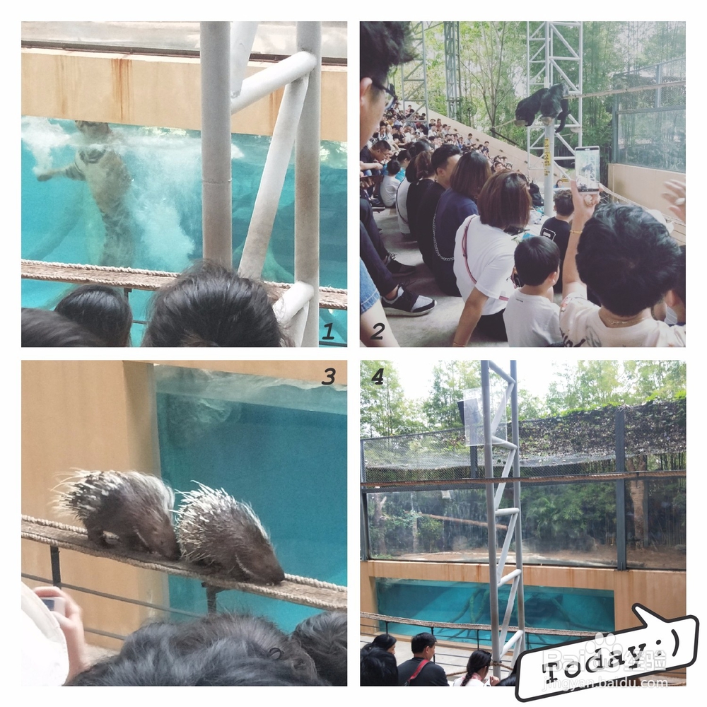 清迈刺激好玩的项目(2018.4.1更新)