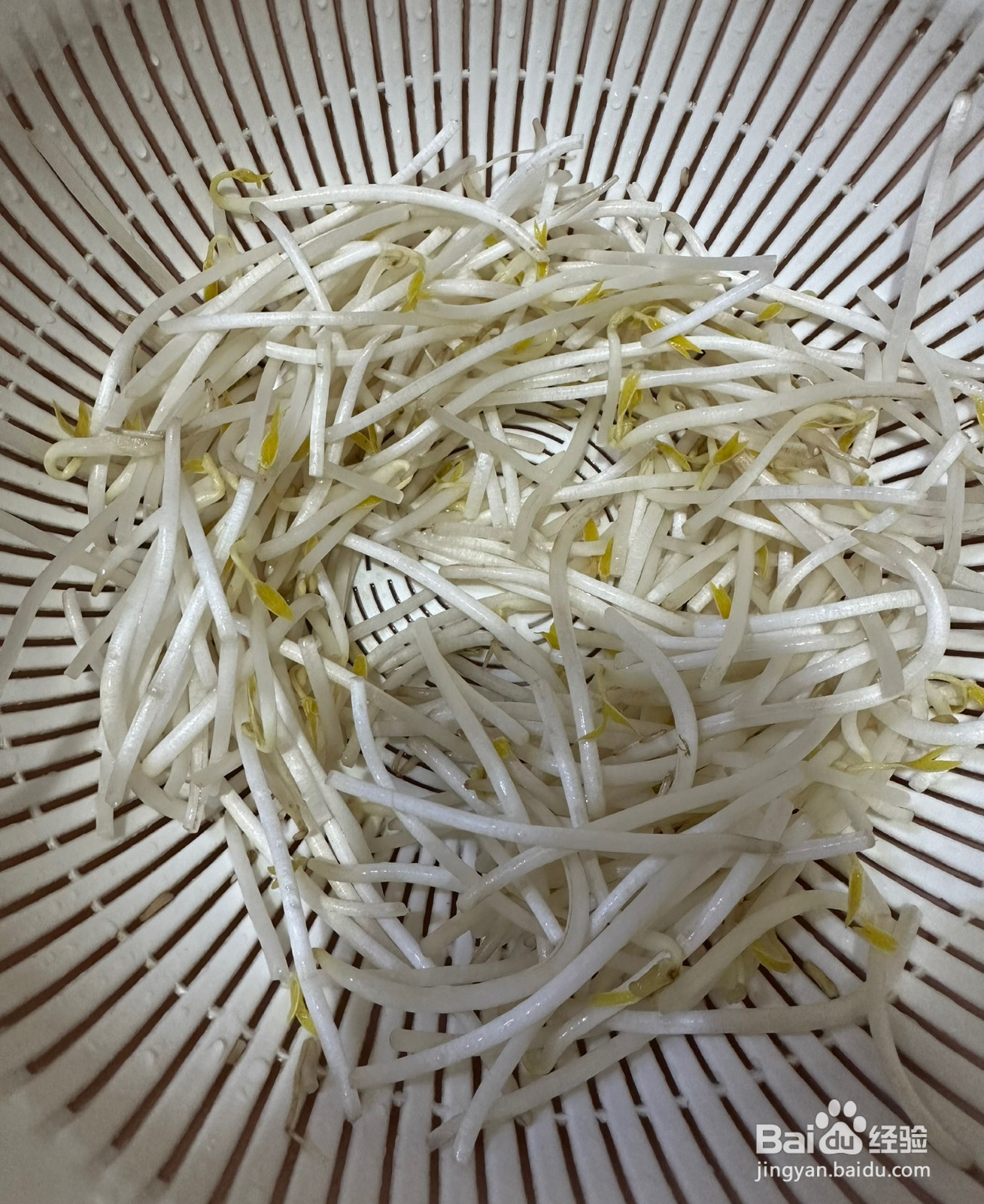 家常焖面的做法