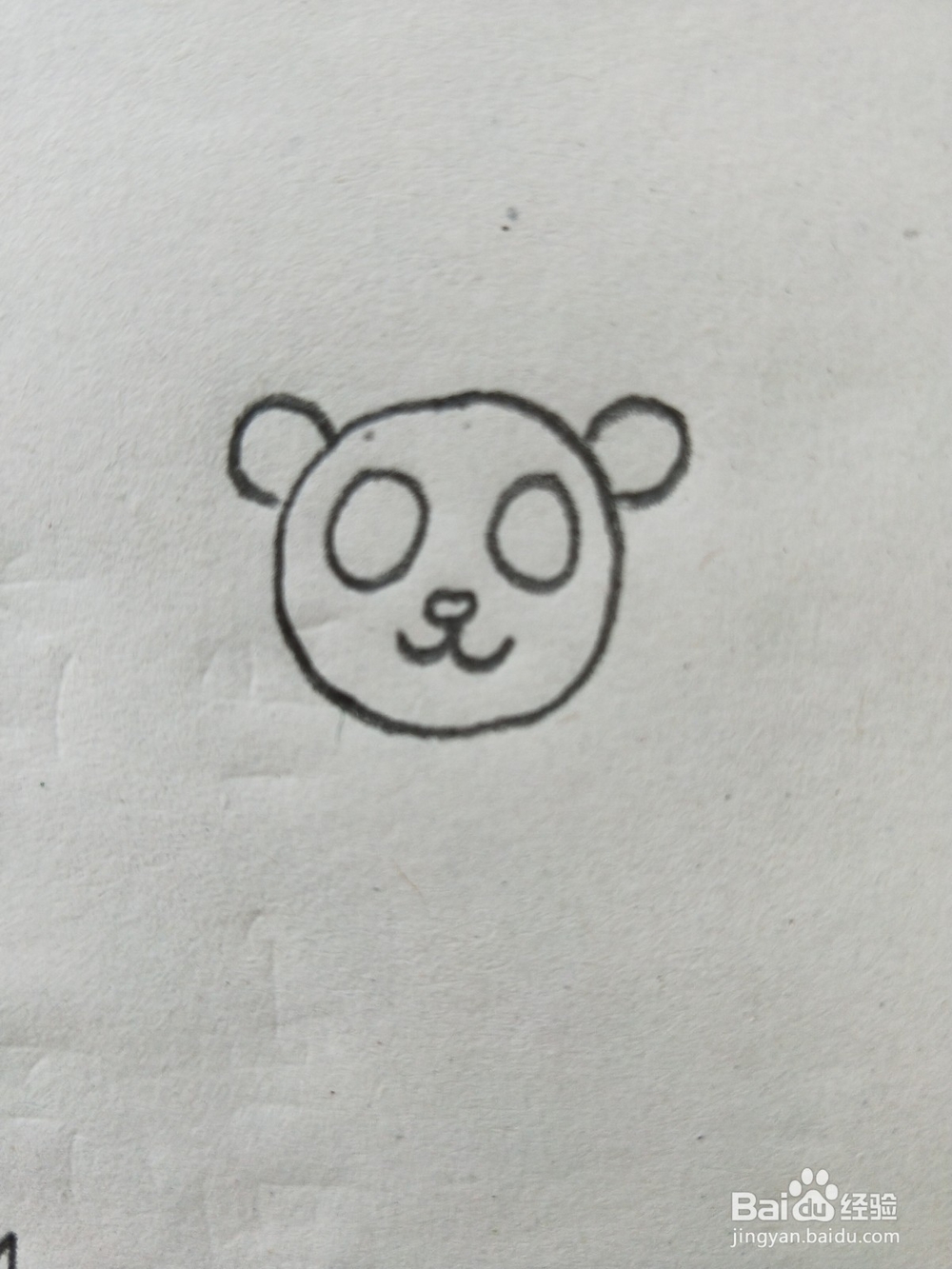 小熊猫简笔画教程