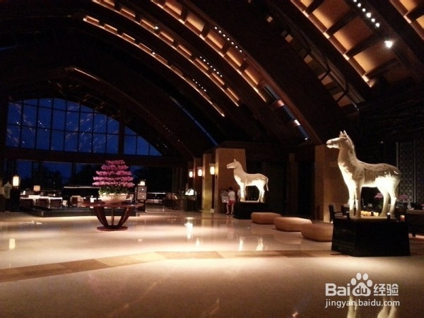 几天几夜的三亚热带之行。