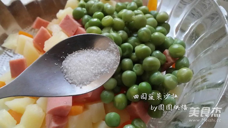 田园沙拉的做法