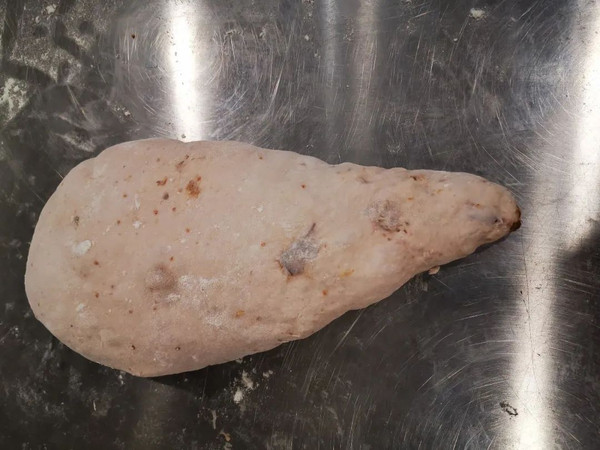 红酒种无花果面包