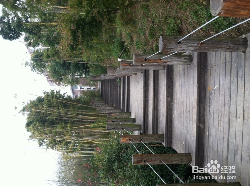 如何在冬季进行早锻炼，让心情愉悦