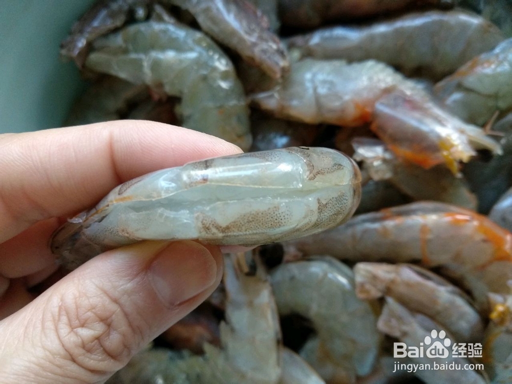 红焖海白虾的做法