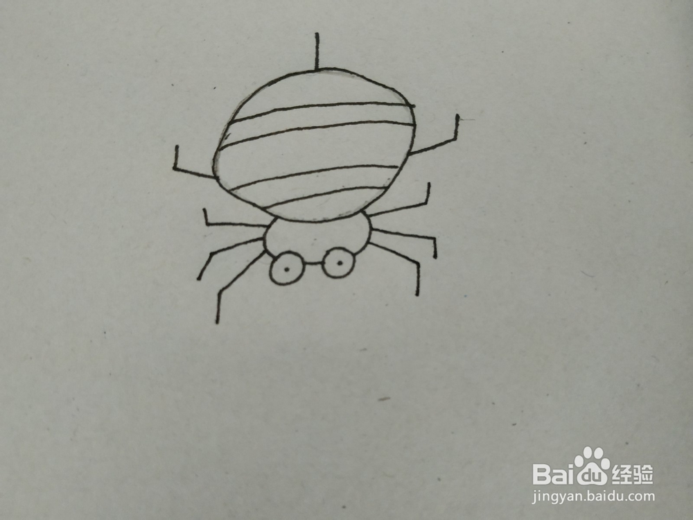 蜘蛛的简笔画要怎么画?