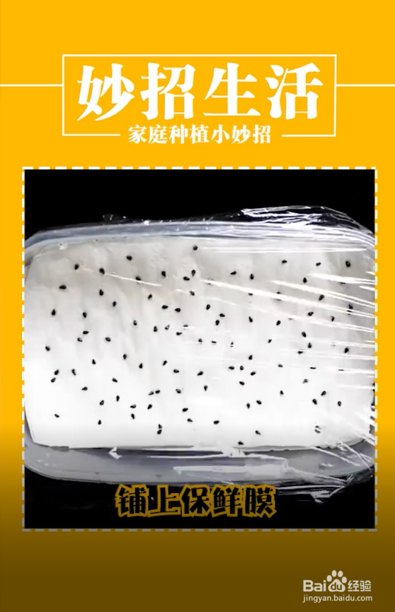 家庭种植小妙招