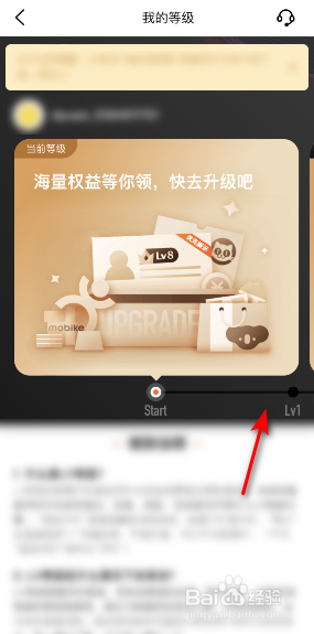大众点评我的等级怎么查看