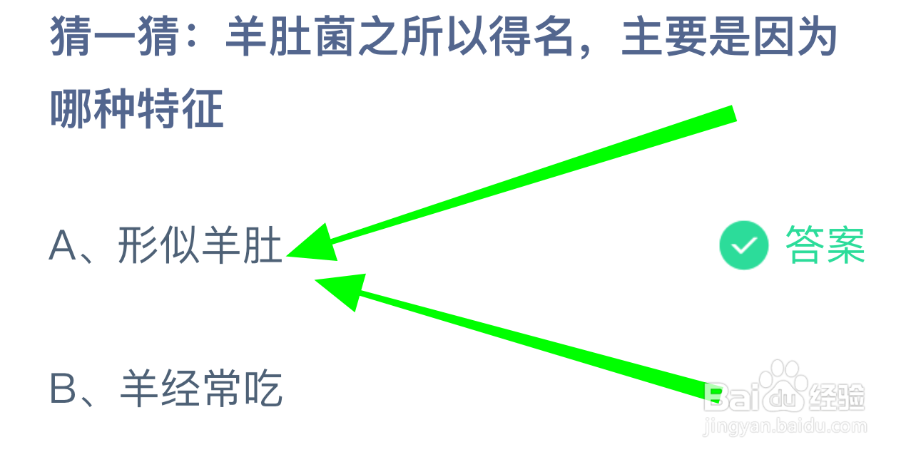 蚂蚁小课堂10.2羊肚菌之所以得名是因为哪种特征