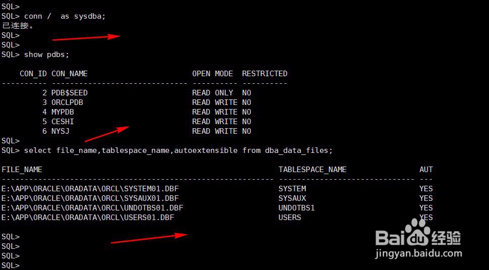oracle12c数据文件特性