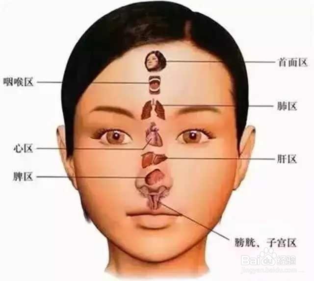 肝脏不好的表现及养护