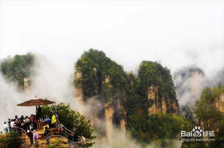 学生张家界旅游线路