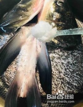 如何做鱼头虾蟹汤