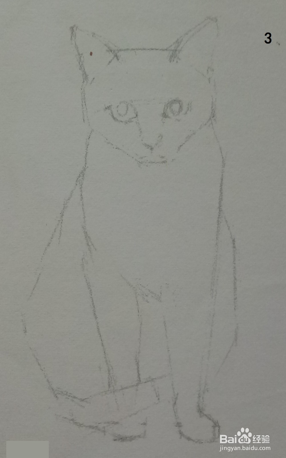 色铅笔画浅黄色小猫咪(素描进阶)