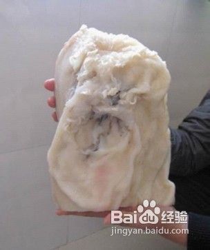天然野生太岁肉灵芝放在水里养的好处
