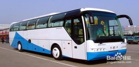 冬天旅游会选择怎样出行