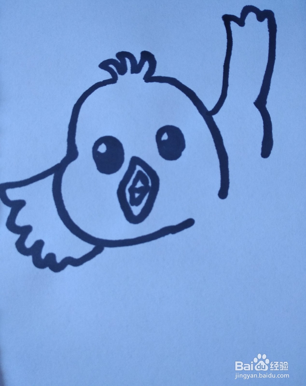 动物简笔画之小鸟简笔画