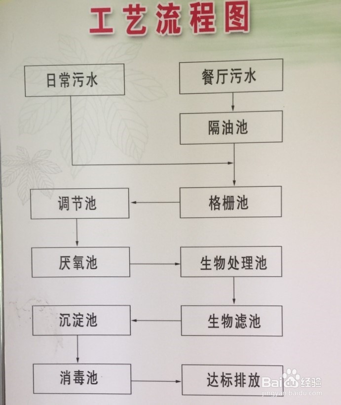 污水处理总氮降解菌介绍