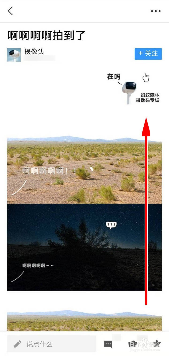 如何查看支付宝蚂蚁森林的熊猫照片和实景相册