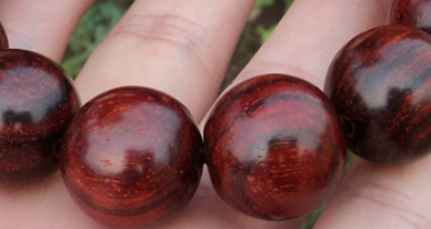 小叶紫檀瘤疤瘿为何如此珍贵