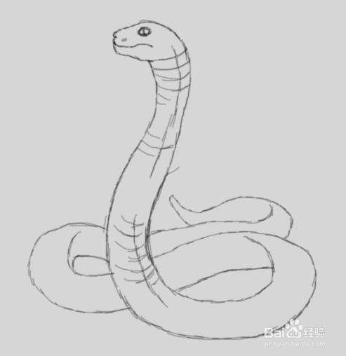 用素描画眼镜蛇的所有教程