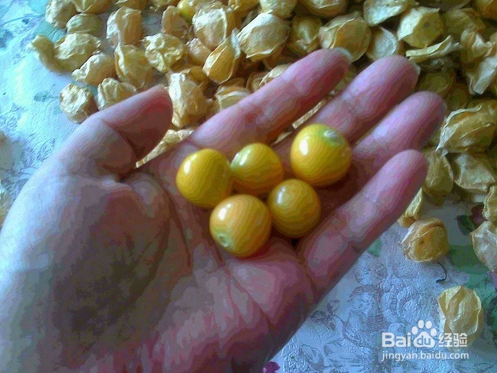 老年人怎样用做游戏的方法和孩子吃姑鸟