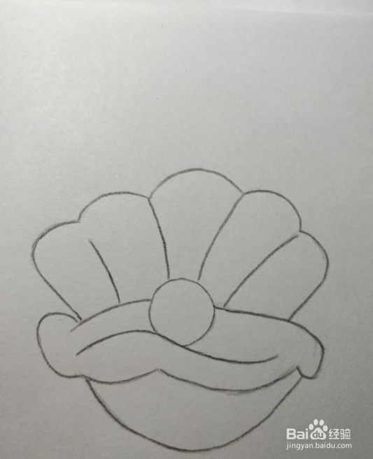 简笔画画珍珠蚌