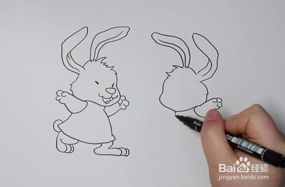 简笔画系列-怎么画小白兔和小灰兔简笔画