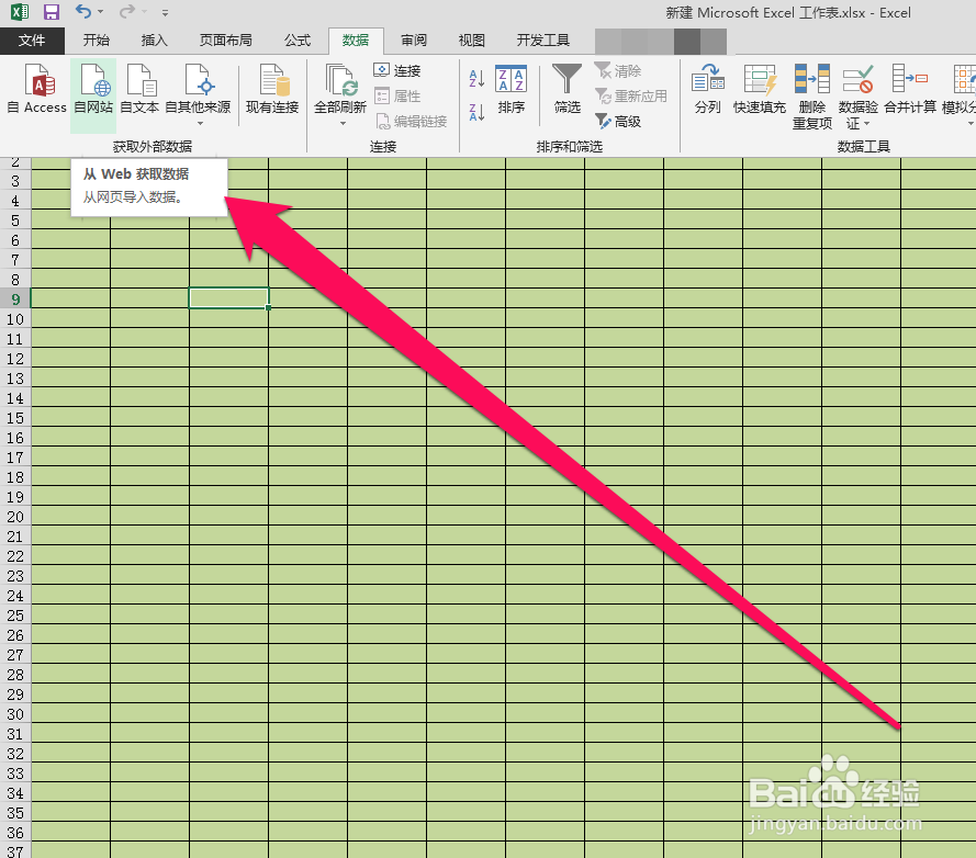 怎样在excel中插入web数据