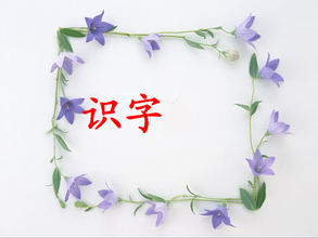 小学一年级：[2]帮助孩子认字