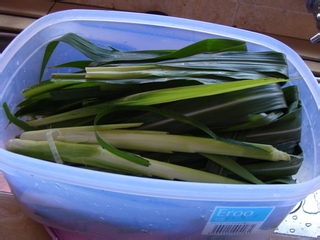 养生马草汁制作方法