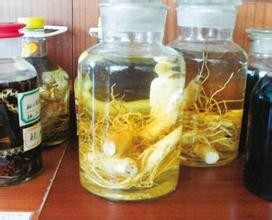 自制人参枸杞酒