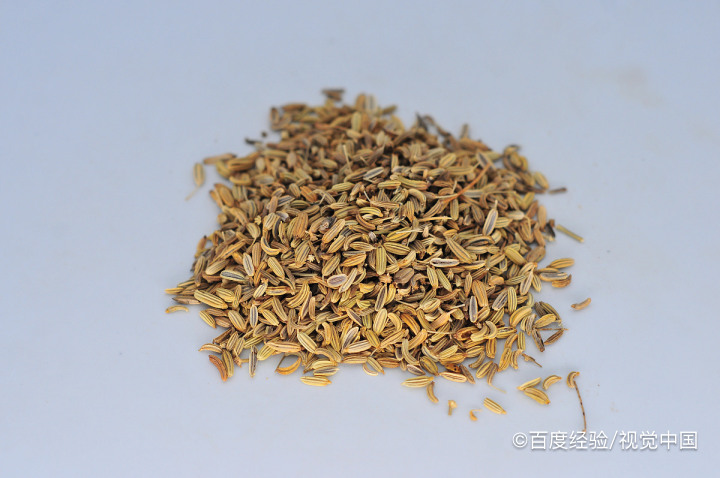 小茴香怎么种植