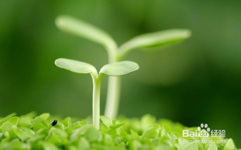 大学生应该如何正确选择兼职工作