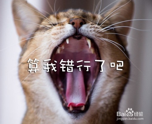 交往中最忌讳说的话