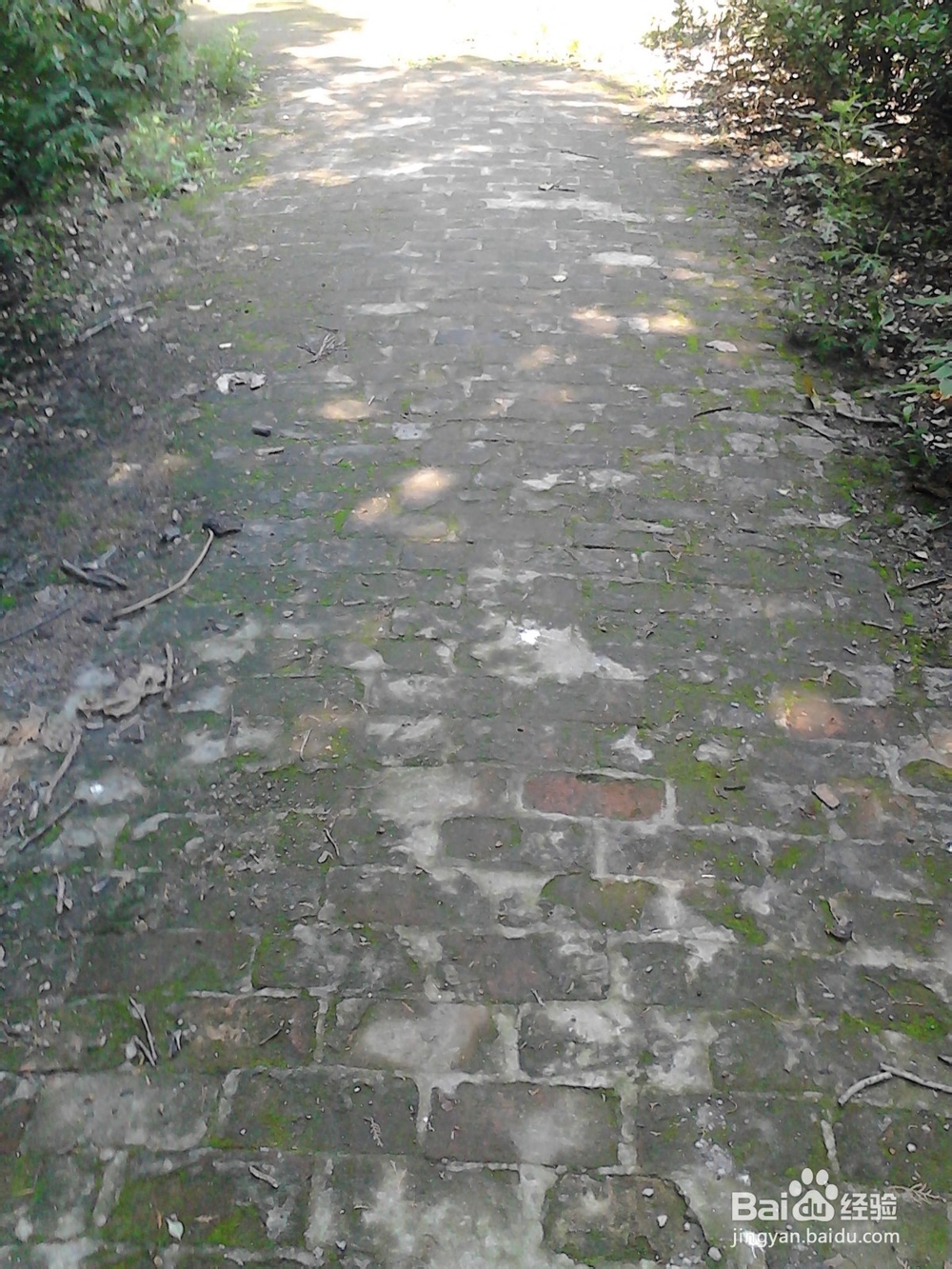 如何减轻失恋带来的痛苦，走出失恋阴影