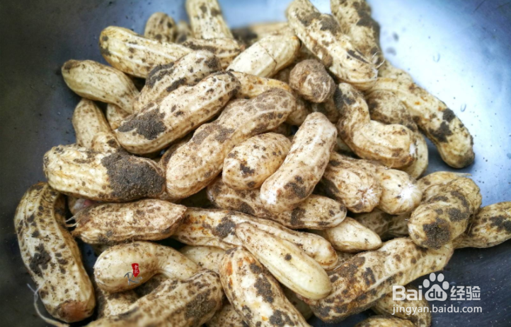 家常菜:盐水煮花生