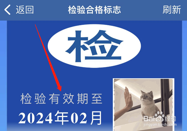 怎样查年检是否到期