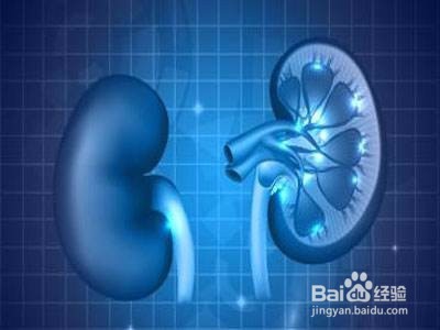 你的肾脏真的好吗？