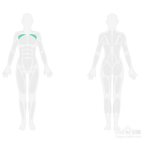 弹力绳胸部训练