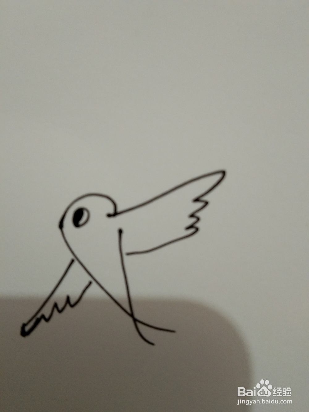 如何画简笔画的飞鸟