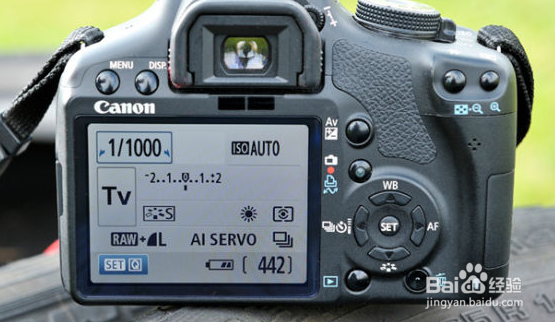 相机拍摄飞鸟技巧