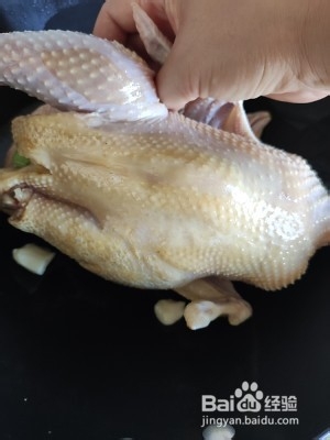 广東高糖白条鸡