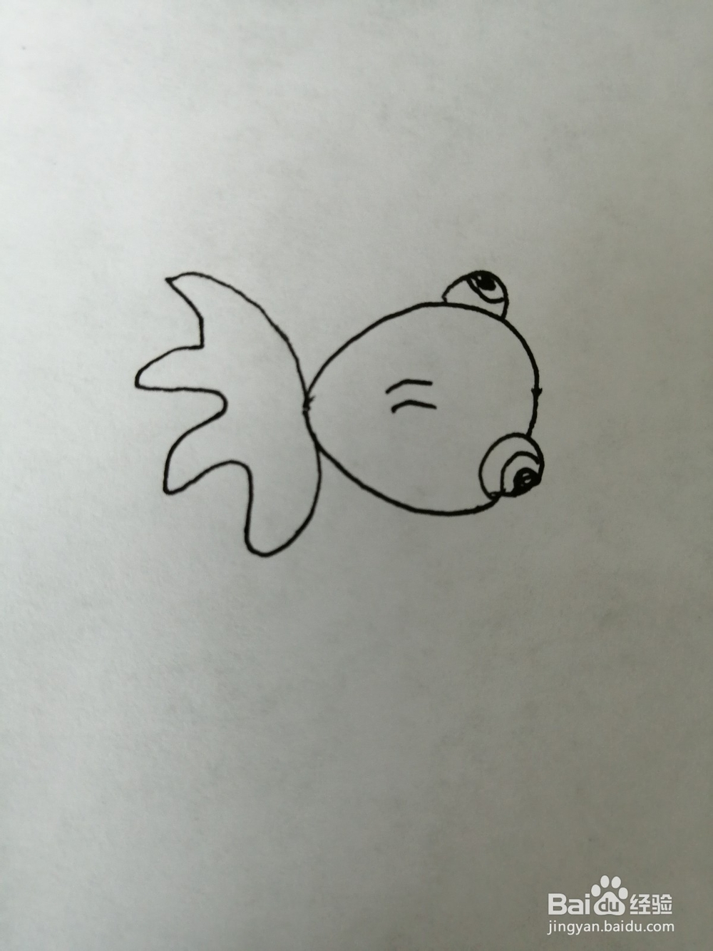 简单的小金鱼怎么画