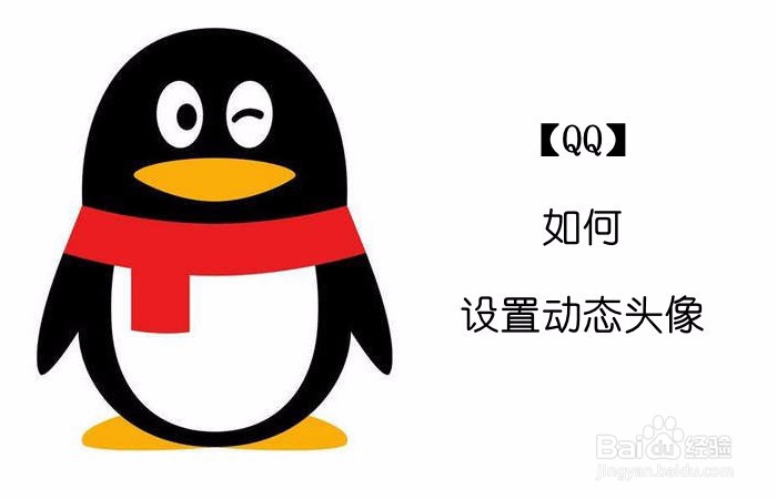 【QQ】如何设置动态头像