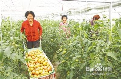 怎么样治疗焦虑精神病