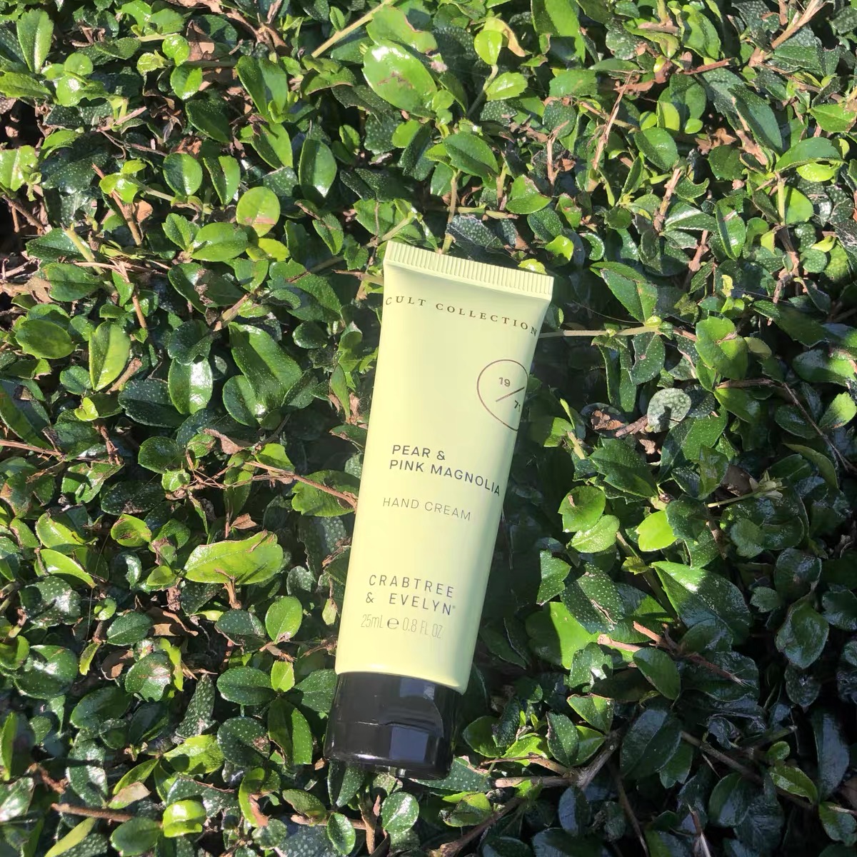 良心推荐护肤品来啦,洁面润肤护手一定不能错过!